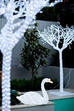 Delighting Pty. Ltd. - Image 2