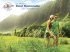 Maui Jim Sunglasses - Image 3