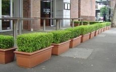 RENT-A-GARDEN PTY LTD - Image 1