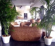 RENT-A-GARDEN PTY LTD - Image 2