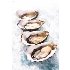 Pearl Catering - Image 3