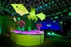 Action Event Services - Image 2