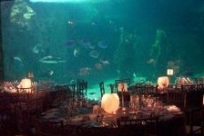 Eventex Sydney - Image 2