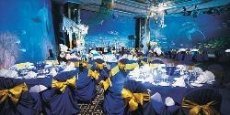 Sydney Prop Specialists - Image 2