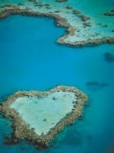 Whitsundays Business Events - Image 1
