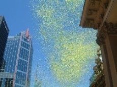 Mr Balloons Australia Pty Ltd - Image 2