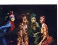 In Nobodys Shadow Entertainment - Image 1