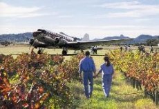 Discovery Air Tours - Image 2