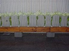 The Wedding Zone - Image 1