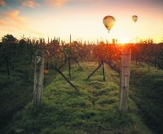 Hunter Valley Convention Bureau - Image 1
