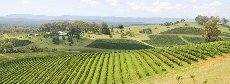 Hunter Valley Convention Bureau - Image 2