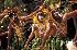 New Caledonia Tourism.South - Image 7