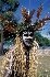 New Caledonia Tourism.South - Image 8