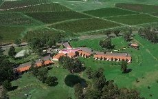 Tuscany Wine Estate Resort - Image 1