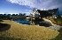 Peppers Clearwater Resort - Image 8