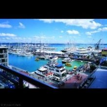 The Sebel Suites Auckland - Image 2