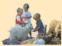 Mowbray Park Farmstay - Image 1