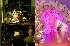 72 Erskine - Events & Exhibitions - Image 8