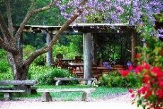 Bago Vineyards  Conference and Function Centre near Port Macquarie - Image 1
