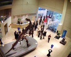 Queensland Museum - Image 2