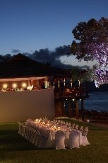 qualia - Image 1