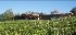 Balgownie Estate Vineyard Resort & Spa - Image 6