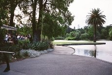 The Terrace - Image 1