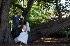 Melbourne Zoo - Image 4