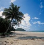 Cape Tribulation Resort & Spa - Image 2