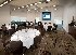 Novotel Brisbane Airport - Image 4