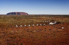 Voyages Ayers Rock Resort - Image 1