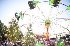 Events at Caulfield - Image 6
