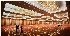 Marina Bay Sands - Image 3