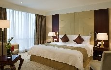 Pullman Shanghai Skyway - Image 2