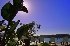 Boat House on Hawkesbury - Image 7