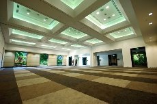 Hilton Cairns - Image 2