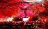 Sydney Showground - Image 5