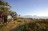 Murramarang Beachfront Nature Resort - Image 3