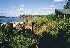 Murramarang Beachfront Nature Resort - Image 5