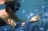 Blue Lagoon Cruises - Image 8