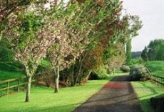 Hamurana Country Estate - Image 2