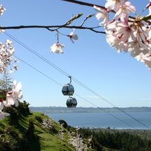 Skyline Skyrides - Image 1