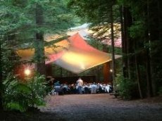 The Redwoods Rotorua - Image 1
