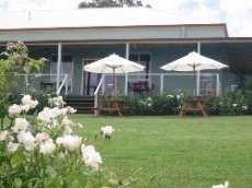 Big Hill Vineyard - Image 2