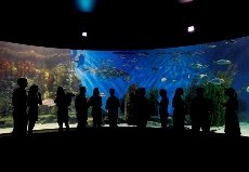Melbourne Aquarium Five Star Functions - Image 1