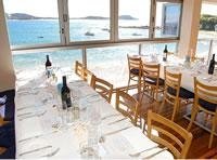 Terrigal Sails - Image 1