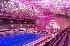 Sydney Olympic Park - Image 3