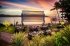 Daydream Island Resort & Spa - Image 4