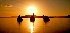 Daydream Island Resort & Spa - Image 8