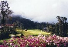 Borneo Highlands Resort - Image 1